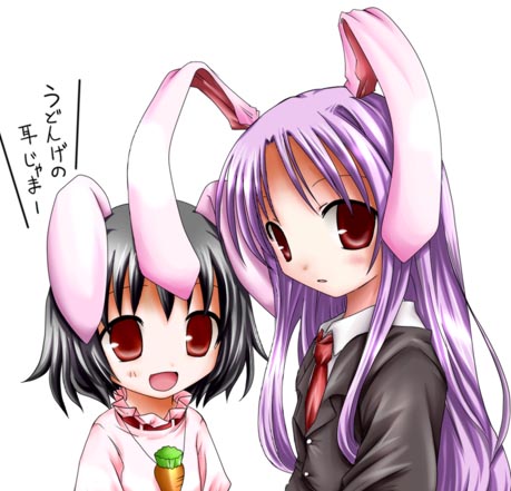 reisen udongein inaba and inaba tewi (touhou) drawn by tenmaru