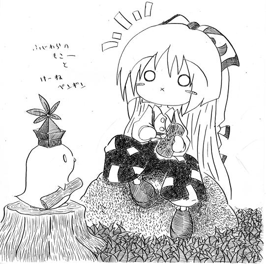 fujiwara no mokou and kamishirasawa keine (touhou) drawn by soyanrai