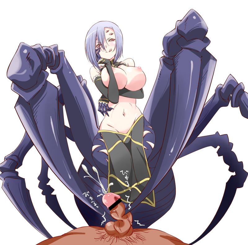 rachnera arachnera (monster musume no iru nichijou) drawn by niiragi