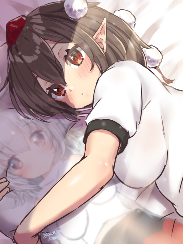 shameimaru aya and inubashiri momiji (touhou) drawn by onomiya