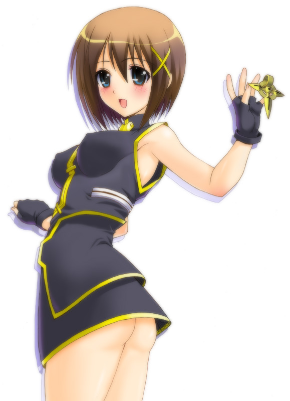 yagami hayate and schwertkreuz (lyrical nanoha and 1 more) drawn by kakogawa_tarou