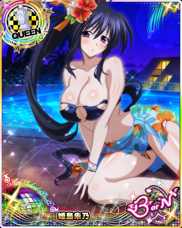 himejima akeno (high school dxd and 1 more)