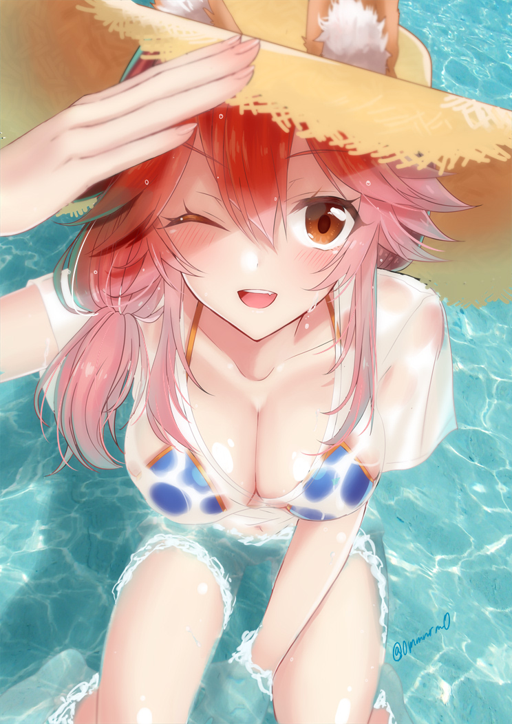 tamamo and tamamo no mae (fate and 2 more) drawn by aonegi