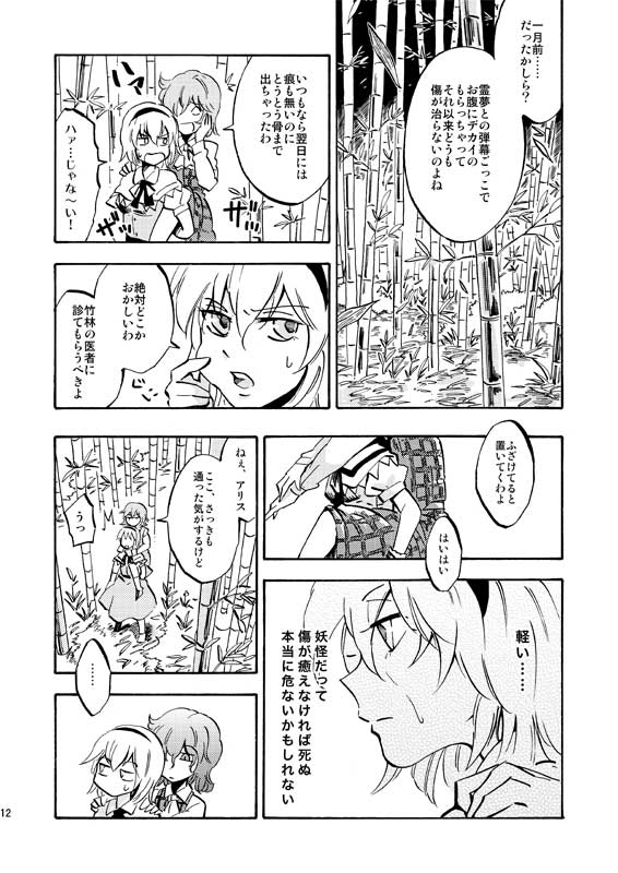 alice margatroid and kazami yuuka (touhou) drawn by charin