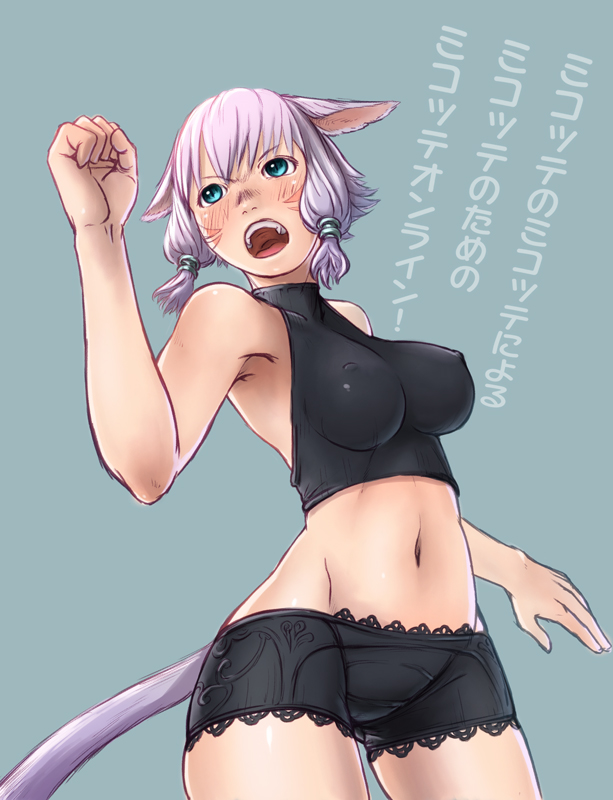 warrior of light (final fantasy and 1 more) drawn by nucomas