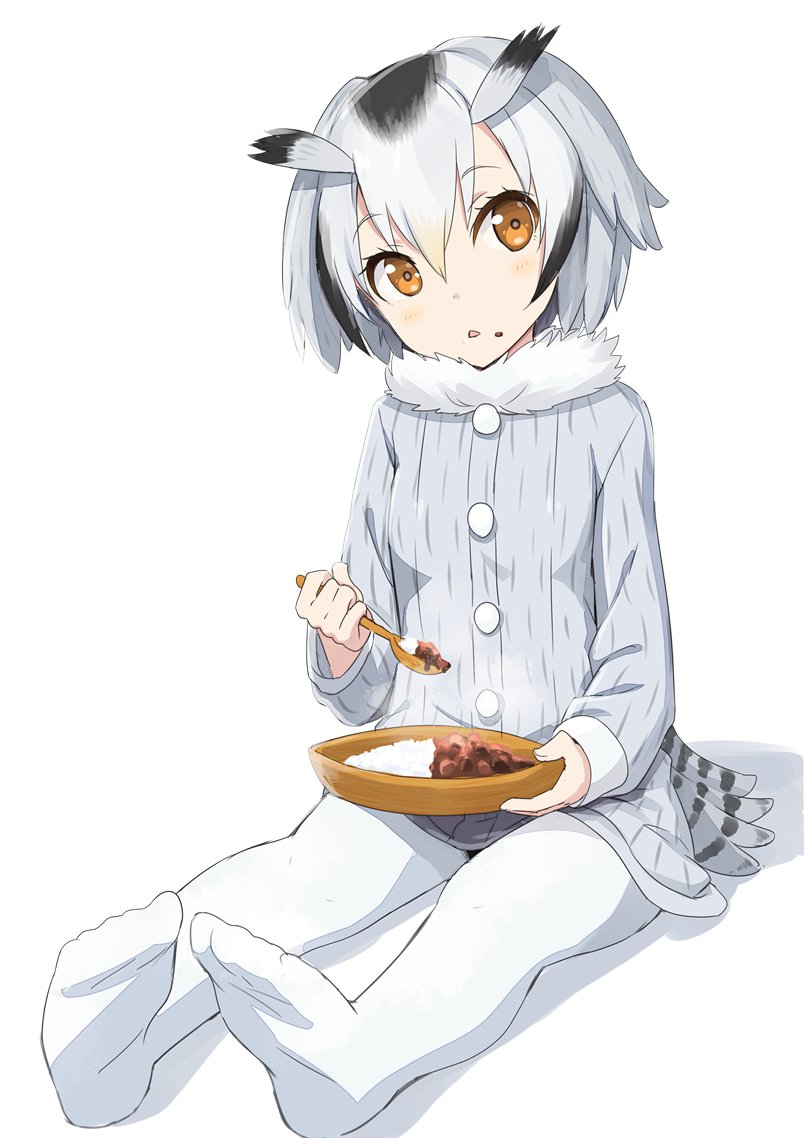northern white-faced owl (kemono friends) drawn by gotyou