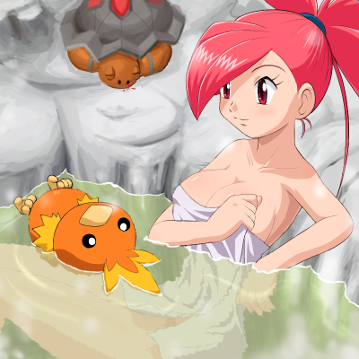 torchic, flannery, and torkoal (pokemon and 1 more) drawn by pokemoa