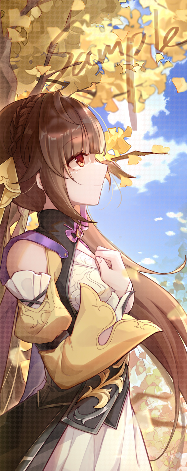 sushang (honkai and 1 more) drawn by shuiyinzijun