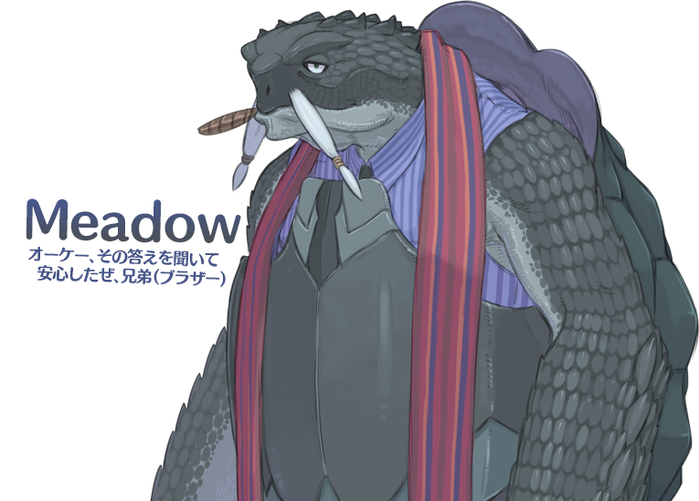 meadow (summon night and 1 more) drawn by kuroboshi_kouhaku