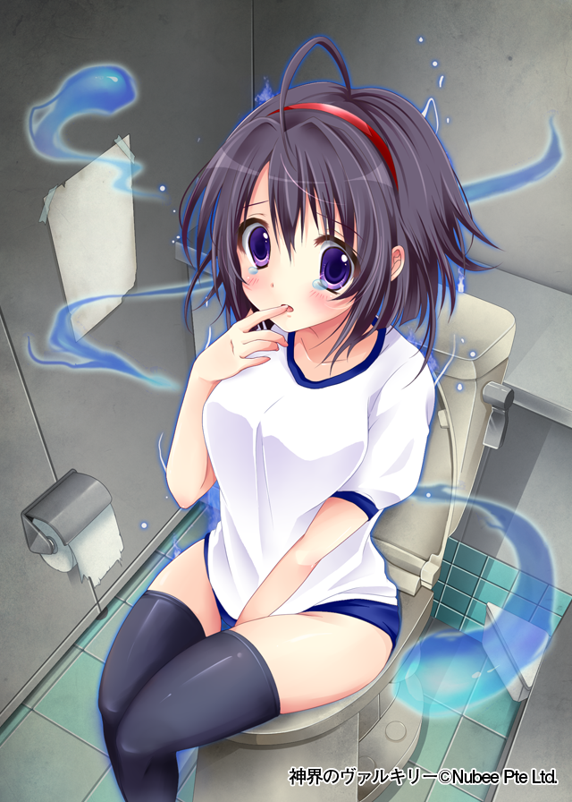 toire no hanako-san (shinkai no valkyrie and 1 more) drawn by picpicgram