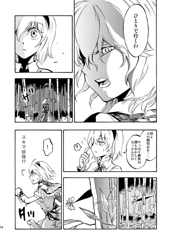 alice margatroid and kazami yuuka (touhou) drawn by charin