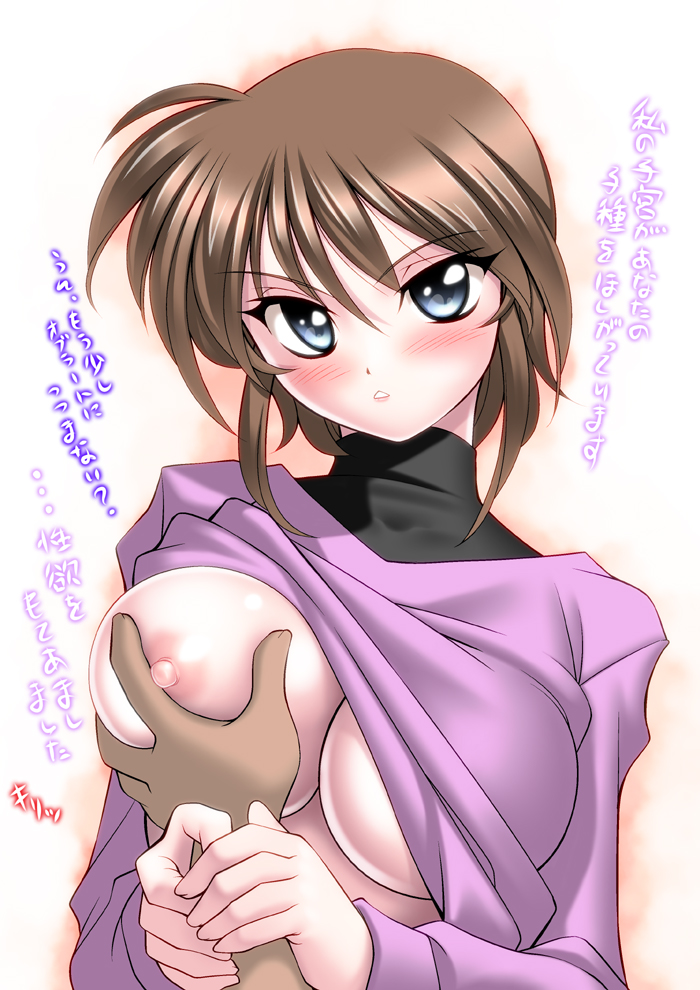 stern the destructor (lyrical nanoha and 1 more) drawn by sakura_ryuuken