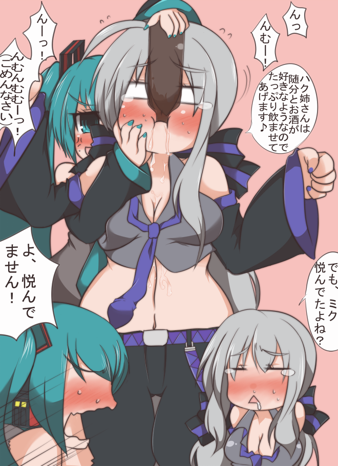 hatsune miku and yowane haku (vocaloid) drawn by niwakaame_(amayadori)