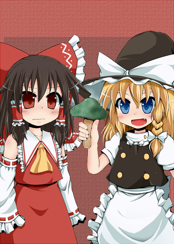 hakurei reimu and kirisame marisa (touhou) drawn by poncocchan