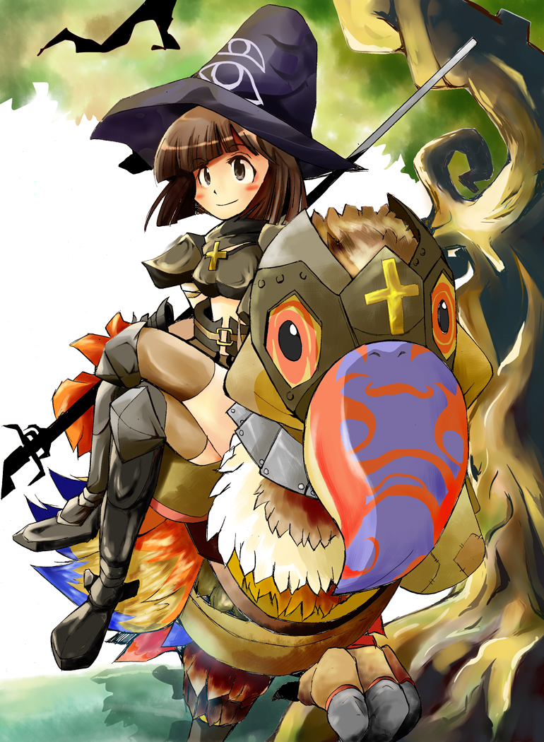 paladin and peco peco (ragnarok online) drawn by ushiro_hayahiro