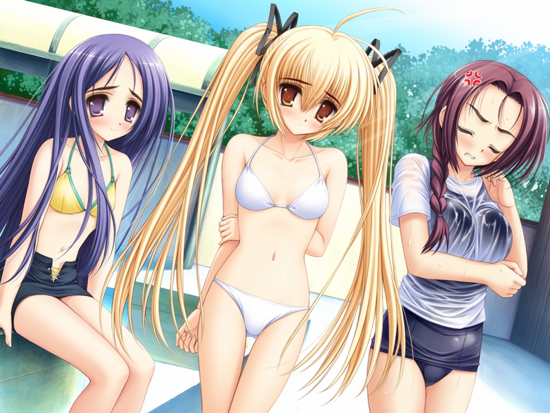 ellen guydir, houami fumiko, and yachikojima hana (utsurigi nanakoi tenkiame) drawn by norita