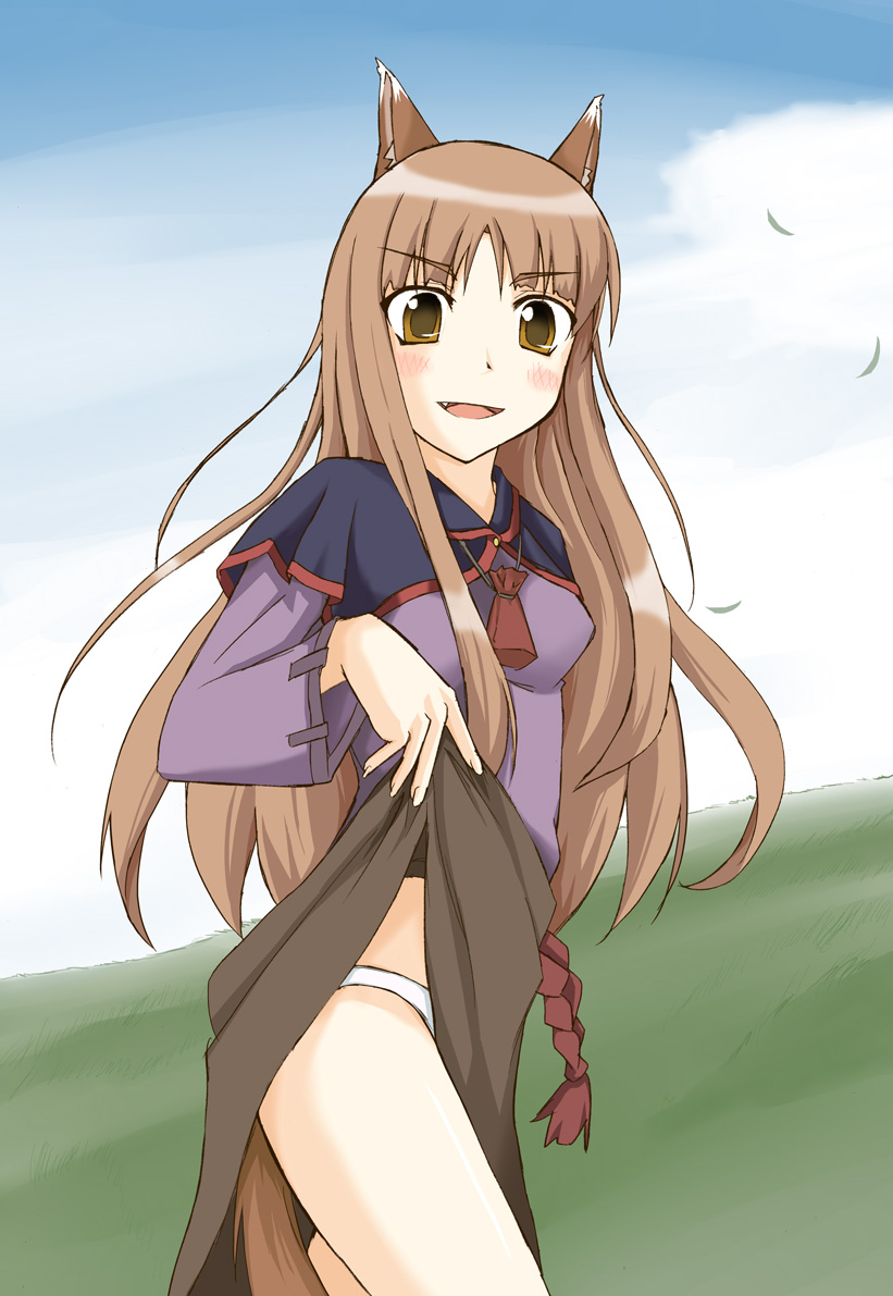 holo (spice and wolf) drawn by cla_(torinabe)