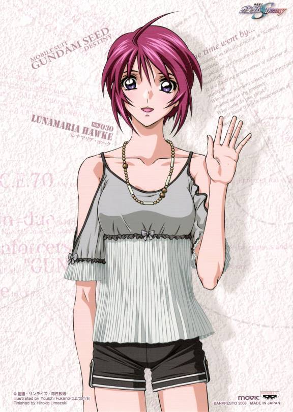lunamaria hawke (gundam and 2 more) drawn by fukano_youichi