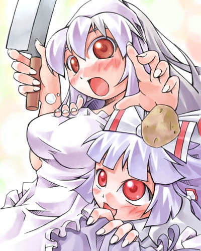 fujiwara no mokou and kamishirasawa keine (touhou) drawn by nyagakiya
