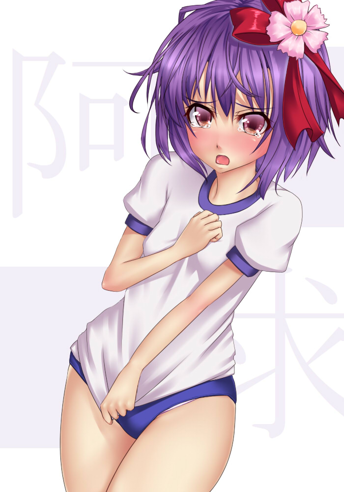 hieda no akyuu (touhou) drawn by tori_(minamopa)