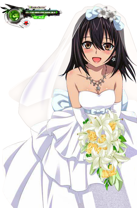 himeragi yukina (strike the blood) drawn by ors_anime_renders