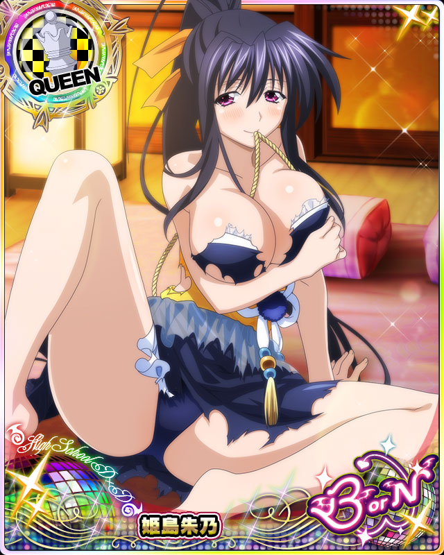 himejima akeno (high school dxd and 1 more)