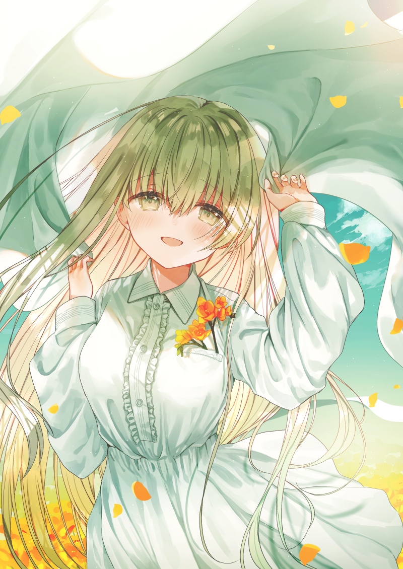 cecilia (shiro seijo to kuro bokushi) drawn by kazutake_hazano