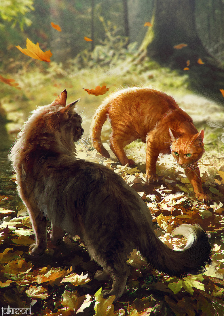 firestar and graystripe (warrior cats and 1 more) drawn by akreon