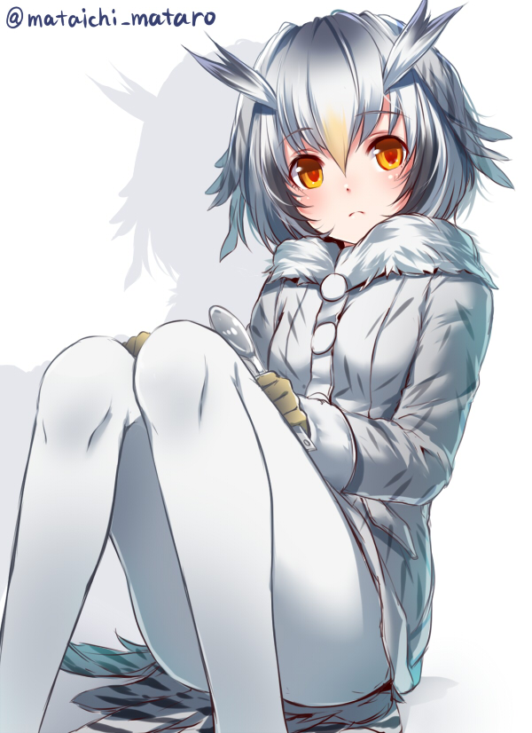 northern white-faced owl (kemono friends) drawn by mataichi_mataro