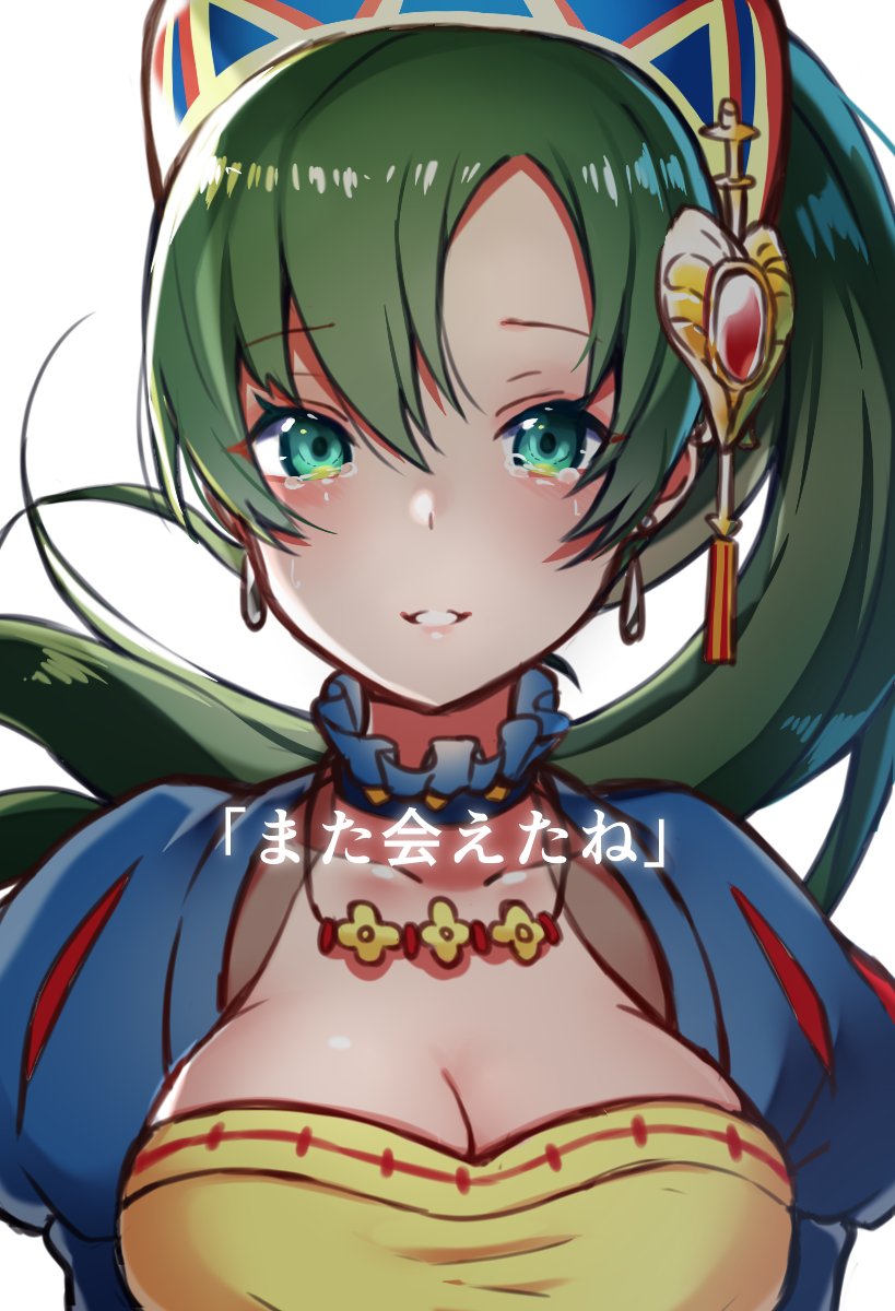 lyn (fire emblem and 2 more) drawn by ringozaka_mariko