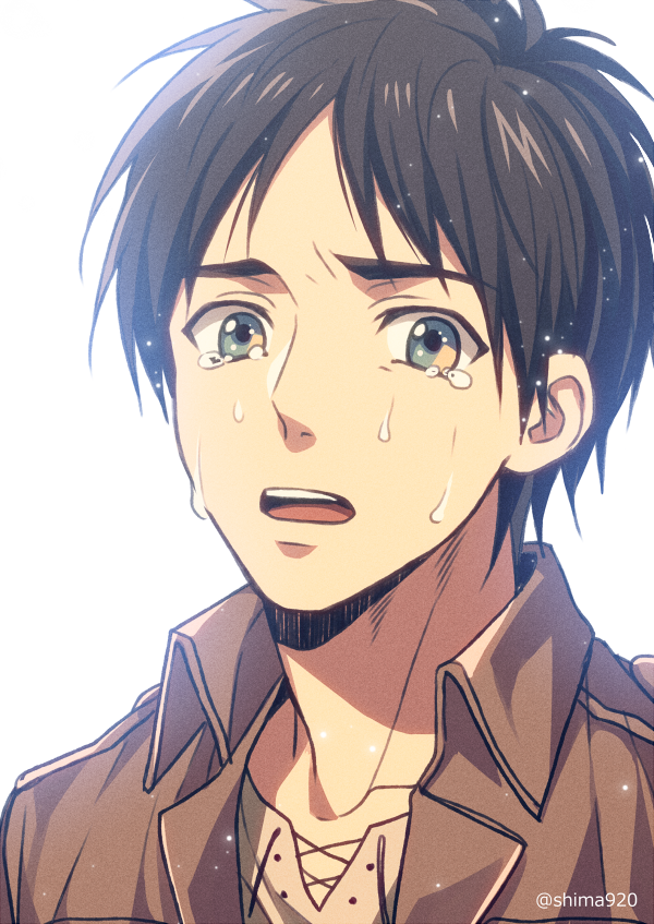 eren yeager (shingeki no kyojin) drawn by mashima_shima