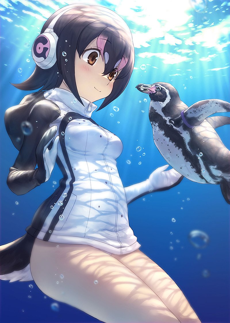 humboldt penguin and grape-kun (kemono friends) drawn by guchico