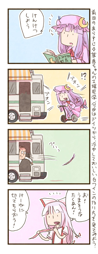 patchouli knowledge and fujiwara no mokou (touhou) drawn by zuizou