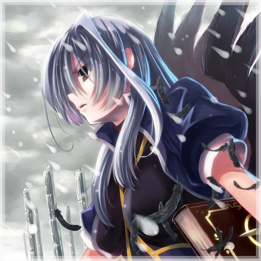 reinforce and tome of the night sky (lyrical nanoha and 2 more) drawn by yone