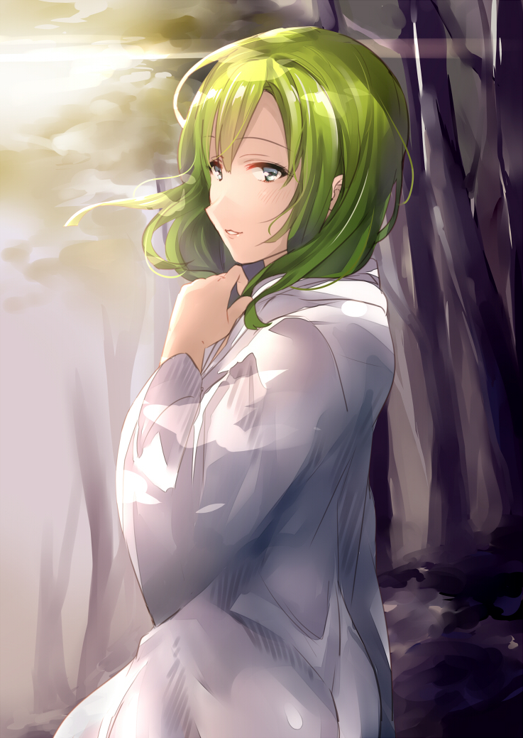 enkidu (fate and 1 more) drawn by juurouta
