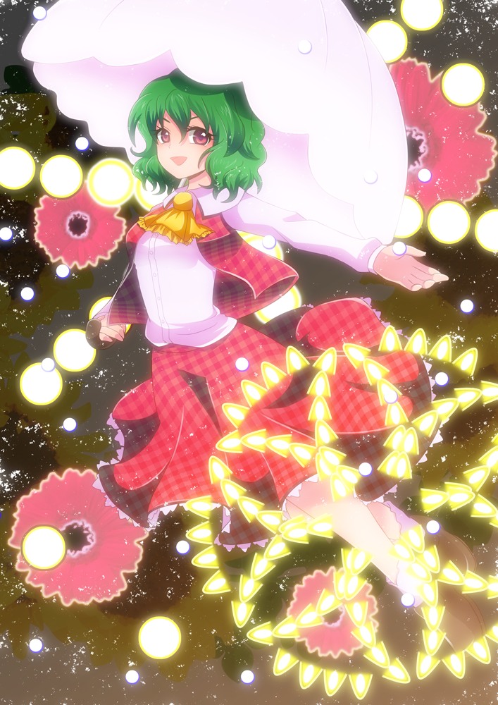 kazami yuuka (touhou) drawn by ara_(sora-ageha)