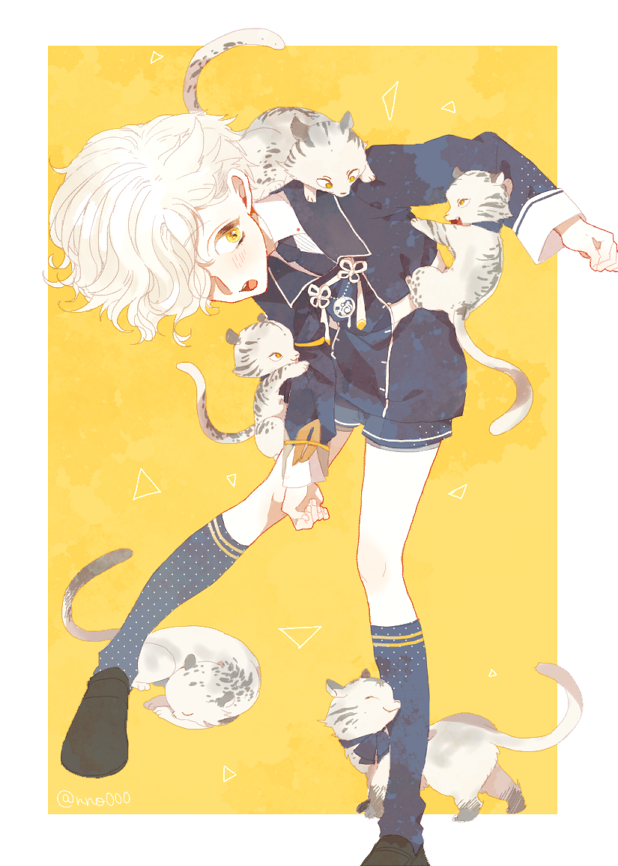 gokotai and gokotai's tigers (touken ranbu) drawn by sio_00