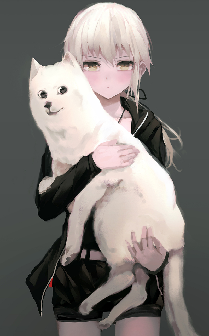 artoria pendragon, saber alter, doge, and cavall ii (fate and 1 more) drawn by zen33n