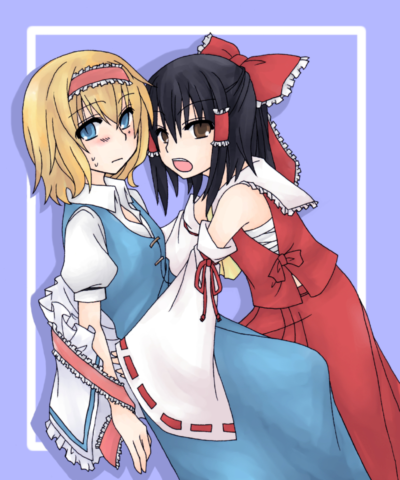 hakurei reimu and alice margatroid (touhou) drawn by yuuta_(monochrome)