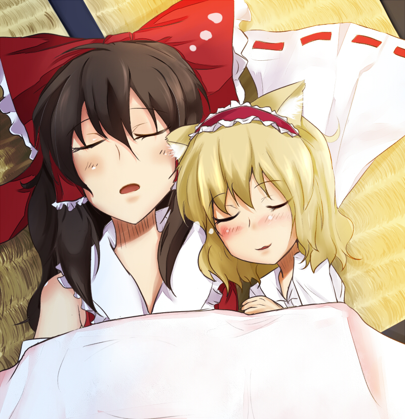 hakurei reimu and alice margatroid (touhou) drawn by poshi_(ginmokusei)