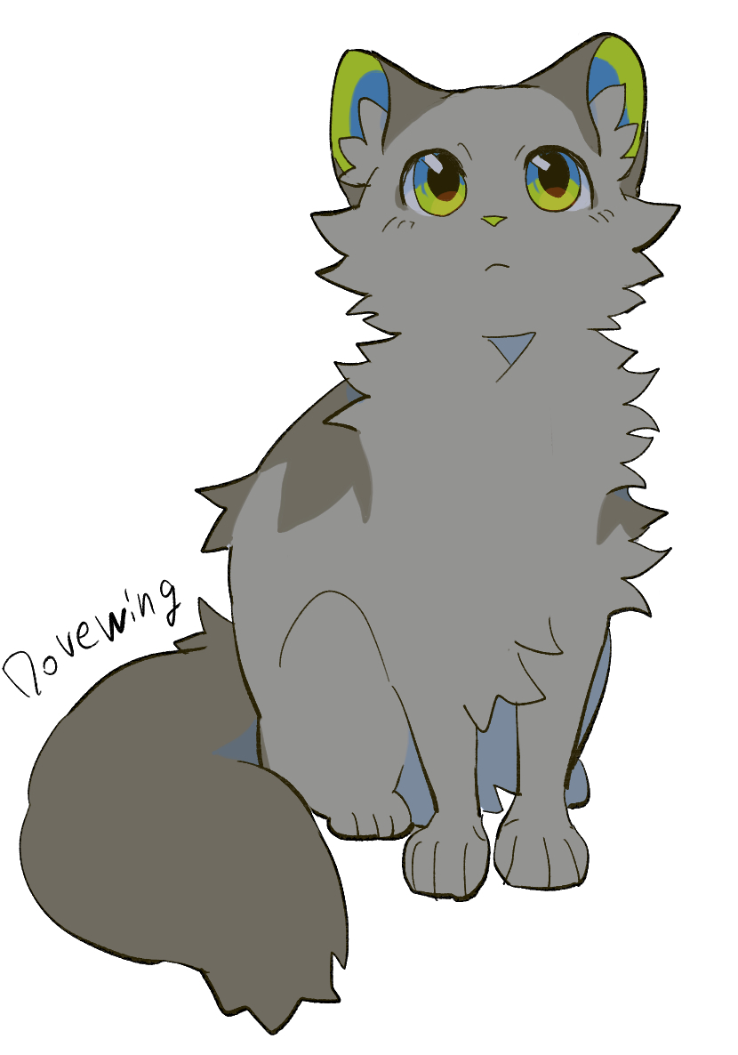 dovewing (warrior cats and 1 more) drawn by minamia23