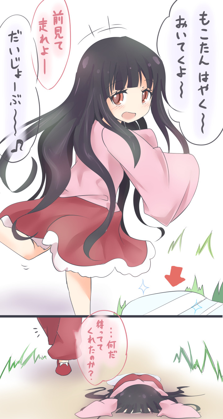 fujiwara no mokou and houraisan kaguya (touhou) drawn by mickeysmith