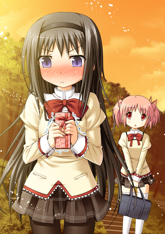 akemi homura and kaname madoka (mahou shoujo madoka magica) drawn by broiler