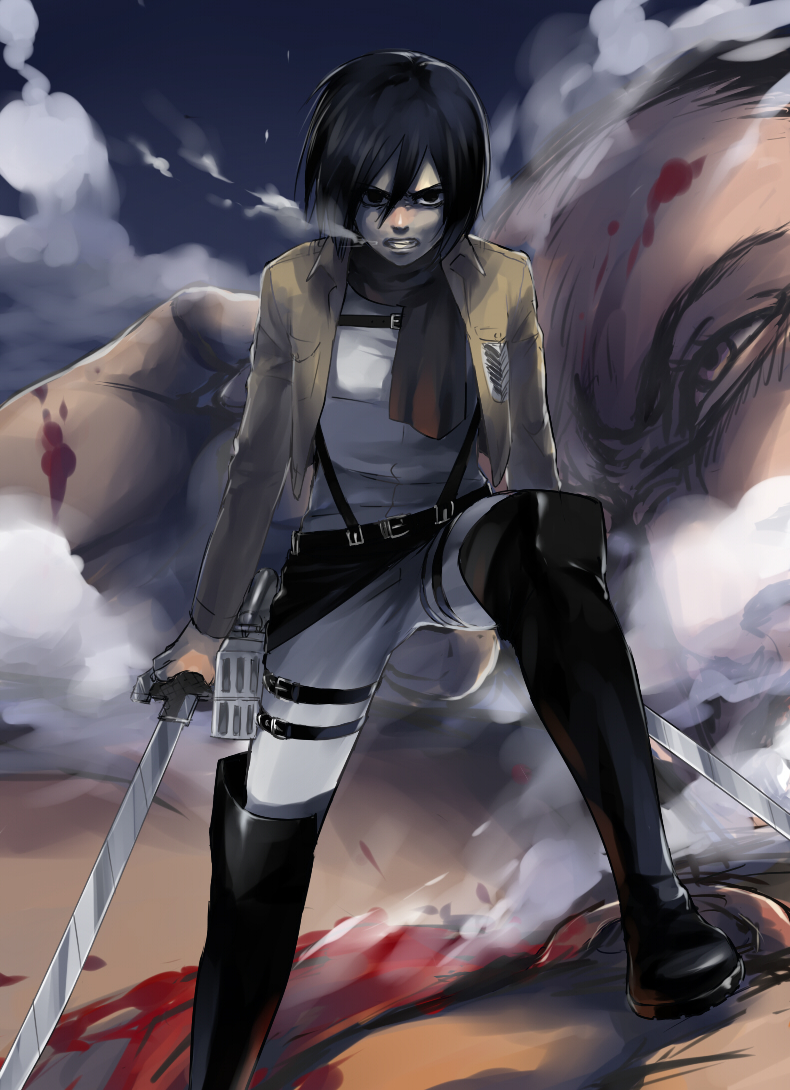 mikasa ackerman (shingeki no kyojin) drawn by shiromi_(ringo)