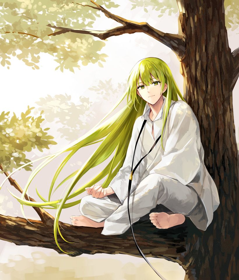 enkidu (fate and 2 more) drawn by ima_(luce365)