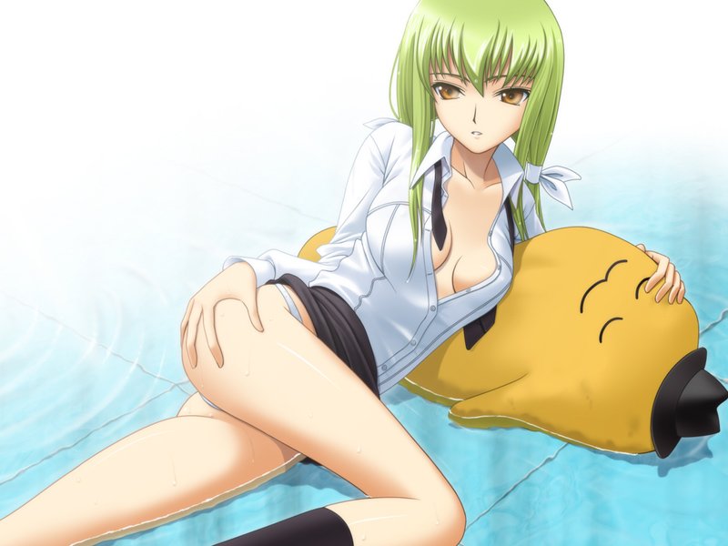 c.c. and cheese-kun (code geass) drawn by 40010prototype