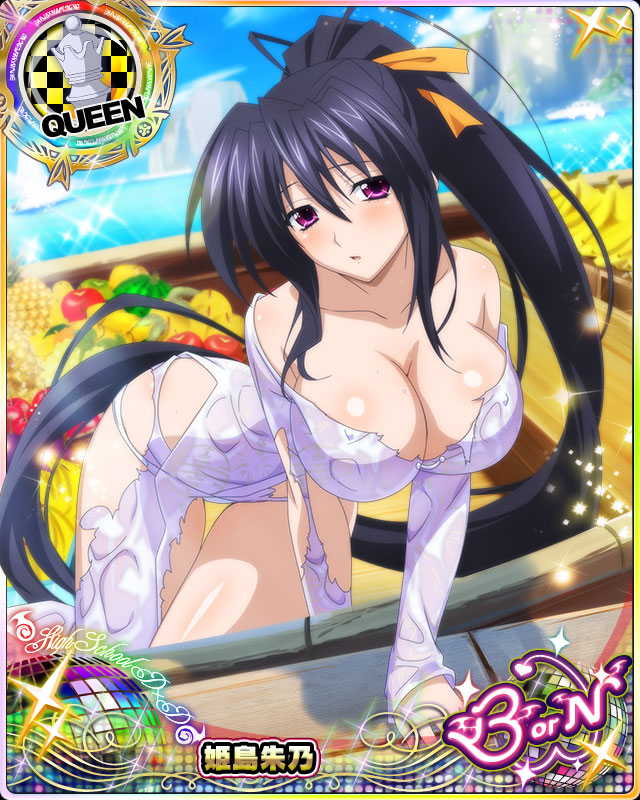 himejima akeno (high school dxd and 1 more)