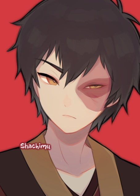 zuko (avatar legends and 1 more) drawn by shachi_(shachimu)