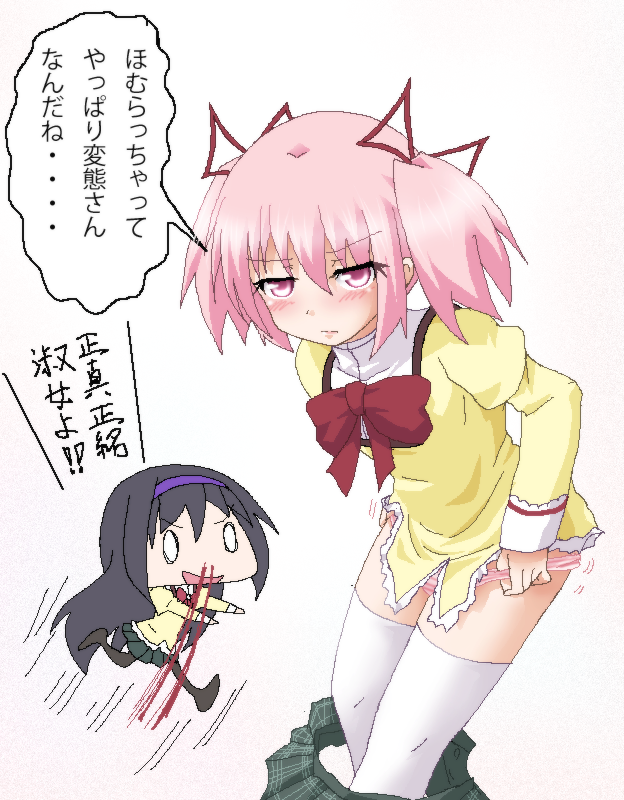 akemi homura and kaname madoka (mahou shoujo madoka magica) drawn by hayashiya_zankurou