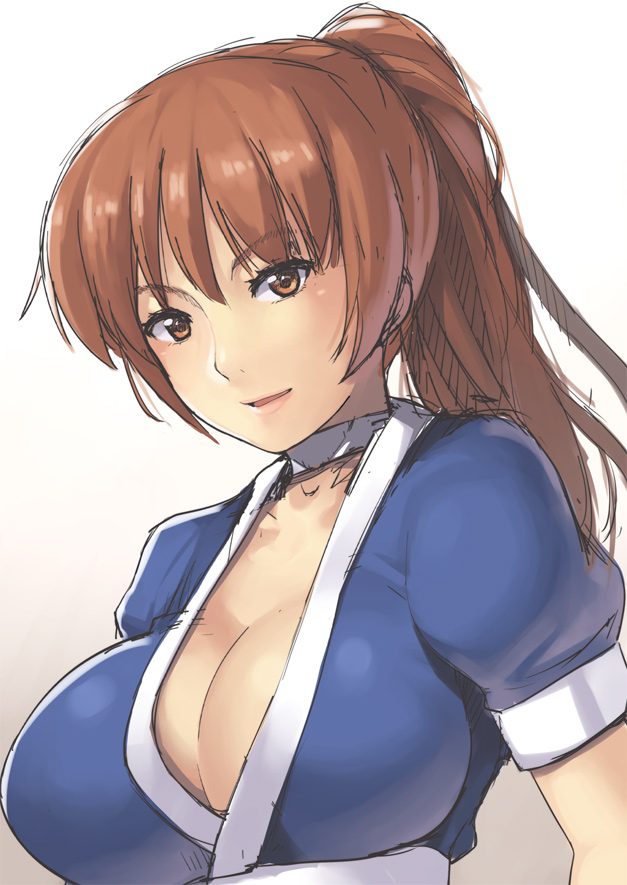 kasumi (dead or alive) drawn by nagase_haruhito